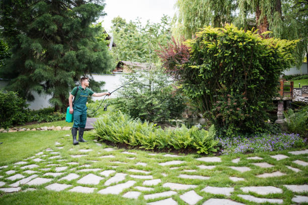 Reliable Melbourne Beach, FL Pest Control Solutions