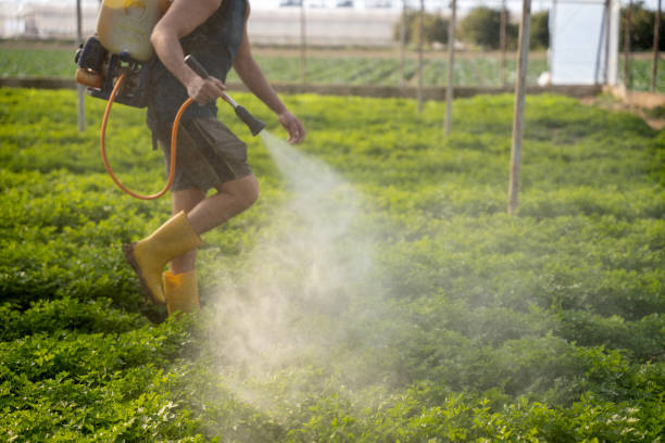Pest Control Cost in Melbourne Beach, FL