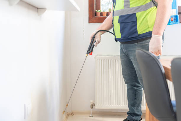 Best Flea Control Services  in Melbourne Beach, FL